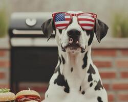 Friendly Dalmatian wearing American flag sunglasses, sitting beside burgers, exuding fun and festive vibe. Perfect for celebrating summer gatherings or patriotic events photo