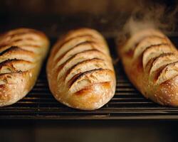 Freshly baked bread cooling on rack, releasing steam and showcasing golden crust. loaves have rustic appearance with slashes on top, inviting and warm photo