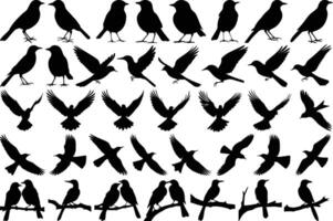 Different Black Bird Poses Silhouettes vector