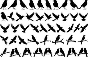 Black Bird Silhouettes Set With Different Poses vector