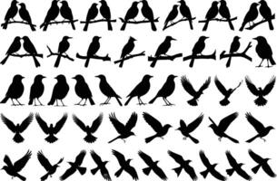 Set of Bird Silhouettes With Different Poses vector
