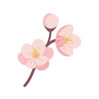Cherry blossom branch or spring tree on white background. botanical element for Spring Festival, Hanami vector