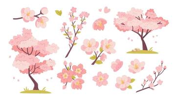 Sakura set, trees, branches and Japanese cherry blossoms. Illustrations for Hanami holiday. botanical elements in flat style vector