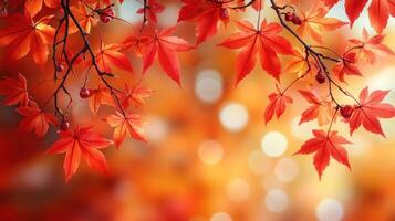 Red and orange leaves swirl in the autumn breeze, creating a warm, inviting scene photo