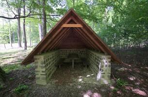 Hikers refuge in a beech forest, seen from the front. photo