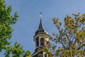 A tree with a green leaf and a tower in the background photo
