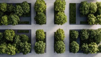 Aerial View of Modern Urban Landscape Design with Lush Greenery and Geometric Pathways photo