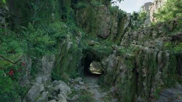 A lush tropical jungle with a tunnel-like path. mountain path video