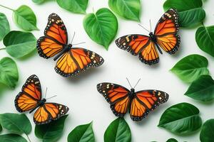 Four vibrant orange monarch butterflies surrounded by fresh green leaves on a light background, symbolizing nature, beauty, and harmonyWorld Wildlife Day photo