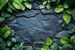 Fresh green leaves framing a textured dark slate background, creating a natural and organic design with earthy tones and a vibrant foliage border photo
