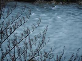 Bare branches overlooking flowing river arve in chamonix, france photo