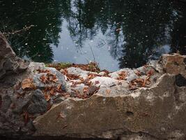 Fallen autumn leaves adorning a stone border by a serene pond in chamonix, france photo