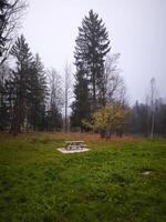 Picnic table inviting travelers to pause and enjoy chamonix's autumn scenery photo