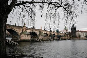 Charles bridge in prague, czech republic, on a cloudy winter day, framed by bare tree branches photo