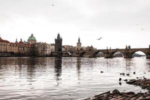Charles bridge reflecting on vltava river in prague on cloudy day photo