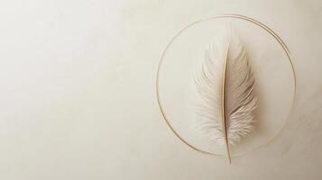 Minimalist feather inside circular frame on textured background for elegant decor photo