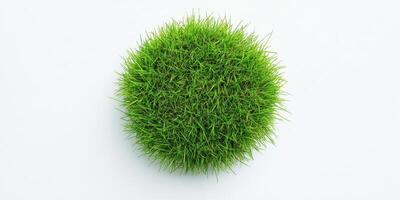 Circular green grass patch on white background emphasizing nature and growth photo