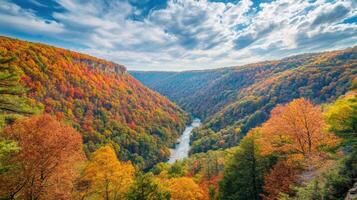 Vibrant autumn landscape with colorful foliage in mountain valley scene photo