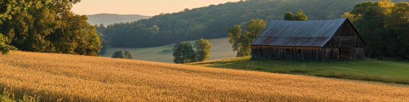 Rustic barn amidst golden wheat field and verdant hillside at dusk photo