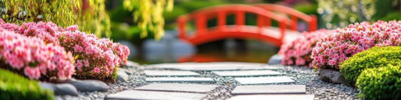 Tranquil japanese garden scene featuring blossoming flowers and red wooden bridge photo