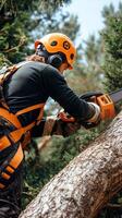 professional arborist high up in a tree cutting branches with a chainsaw photo