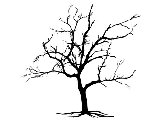 Black Branch Tree and roots or Naked silhouettes.