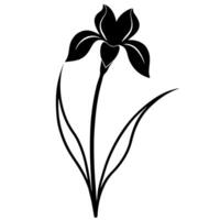 Minimalist iris flower art great for botanical and modern vector