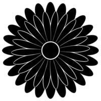 Beautiful gerbera bloom silhouette for botanical illustrations vector