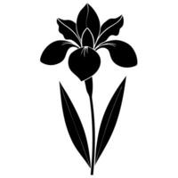 Minimalist iris flower art great for botanical modern projects vector
