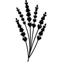 Herbal lavender silhouette for rustic art and designs. vector