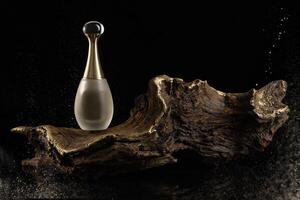a bottle of perfume sitting on top of a tree trunk photo