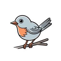 Bluebird perched on a branch in a sunny environment vector