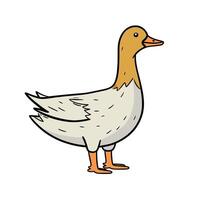 Cute cartoon duck standing in a simple pose vector