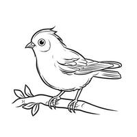 Detailed line drawing of a bird perched on a branch vector