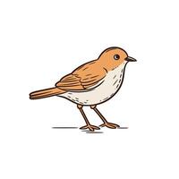 Small brown bird perched on ground in natural setting vector