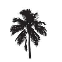 Isolated Palm Tree Silhouette for Graphic Projects vector