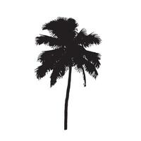 Palm Tree Silhouette Design for Elegant Branding vector