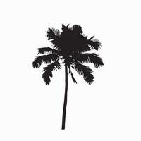 Minimalistic Silhouette of Tropical Palm Trees vector