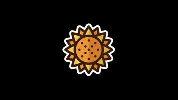 Sunflower sticker animation. Sticker on bee theme. Simple beekeeping collection theme. Cartoon style. Transparent background with alpha channel video