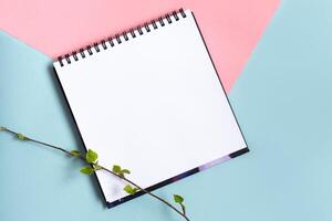 Mock up of empty spiral scketchbook with white paper on pastel pink and blue background. Twig with fresh leaves. Spring template. photo