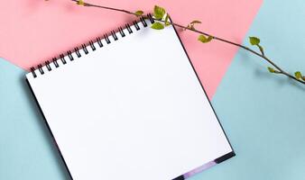 Mock up of empty spiral scketchbook with white paper on pastel pink and blue background. Twig with fresh leaves. Spring template. photo