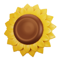 3d rendering autumn icon concept. 3d render sunflower icon png