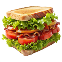 Fresh sandwich with layered fillings on a clear backdrop for use png
