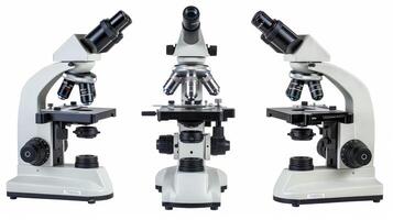 Three microscopes are lined up in a row photo