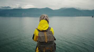 Solitude In Nature, Back View Of Female Traveler Standing On Edge Of Cliff, Admiring View On Ocean video