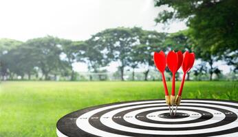 three dart on target with field background photo