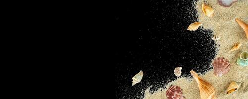 Black background copy space with shell decoration photo