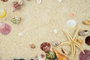 Beach frame with sand and shell decoration photo