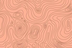 Topographic Landscape Map in Hand Drawn Style. Banner with geographic mountain relief. Wavy abstract contour background with cartography texture vector