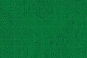Topographic Green Landscape Map with Grid and Lines, Outline Terrain. Banner with geographic mountain relief. Wavy abstract contour background with cartography texture vector